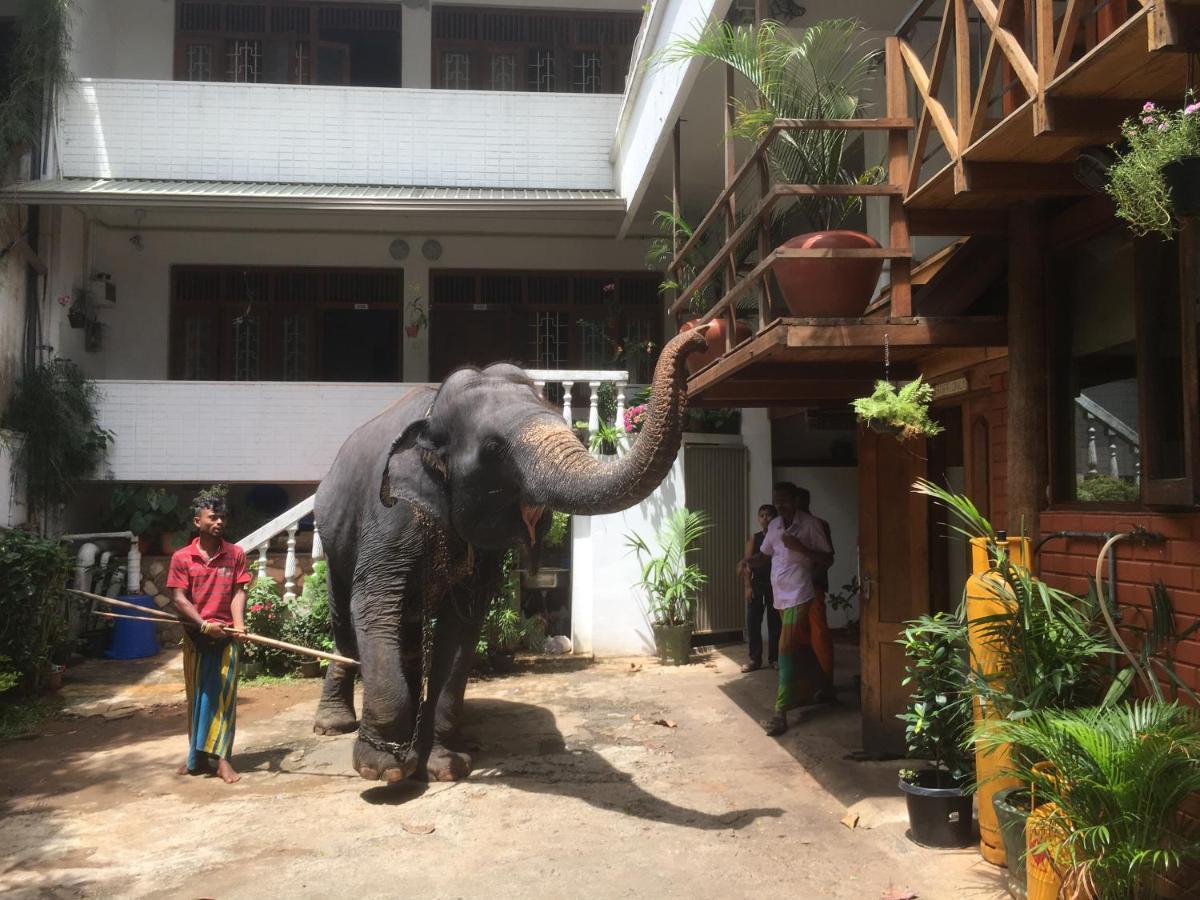 Hotel Mango Garden Kandy Exterior photo