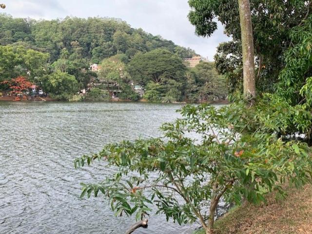 Hotel Mango Garden Kandy Exterior photo